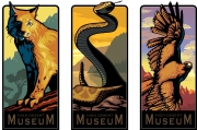CLIENT: HIGH DESERT MUSEUM